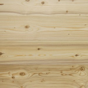 Wooden cladding / interior