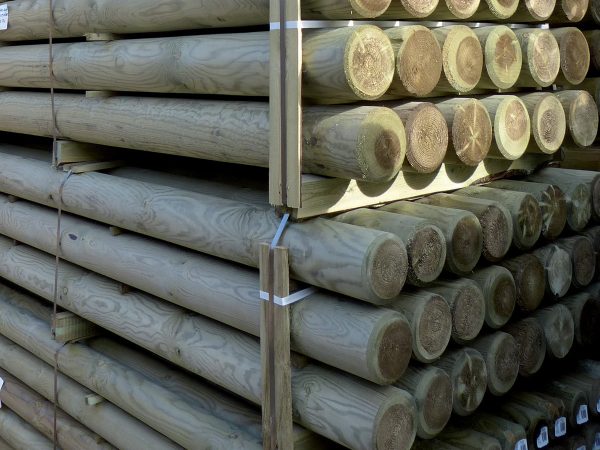 Bois de structure et rondins